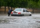 چرا شهر بوشهر در برابر بارندگی های شدید بی دفاع و آسیب پذیر است؟ و میزان مسوولیت مدنی و کیفری شهرداری تا چه حد است؟