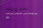 معرفی یکی از پرفروش ترین کتاب های رمان حوزه زنان(چراغ ها را من خاموش می کنم)