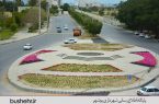 میدانی برای خالی نبودن عریضه!