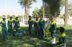 نامه کارگران شرکت پیمانکار زیبا سازان گیتی زیر مجموعه سازمان پارکها و فضای سبز به شهردار بندر بوشهر