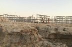 نامه انجمن های محیط زیستی استان بوشهر به دادستان کل کشور در خصوص اراضی متصرفی آریا ساسول