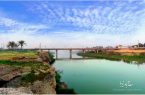 پل چهل ساله ی سعدآباد تنها و غریب افتاده است