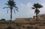 گمرک قدیم بندر محمد عامری