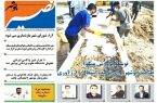 نصیر بوشهر شماره ۸۶۳