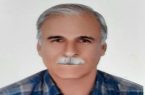 کشت پنبه در هلیله، قبل از تأسیس نیروگاه برق اتمی
