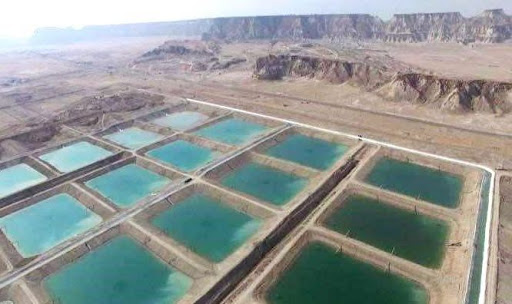 فریادرس پرورش دهندگان میگو استان بوشهر کیست؟!!!