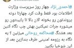 واکنش یک فعال توییتری به نمایش‌های این روزهای جریان انقلابی