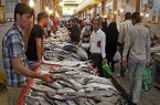 لب دریا، ماهی واویلا