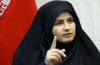 واکنش نماینده زن مجلس به برگزاری کنسرت خوانندگان ایرانی در ترکیه