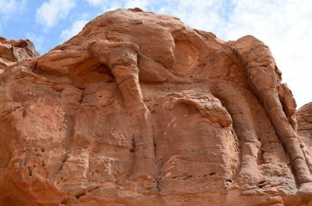 قدیمی‌ترین مجسمه حیوانات در عربستان کشف شد