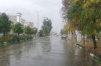 چرا انسان به ریزش برگ‌های پاییز علاقه‌مند است؟