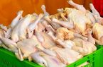 توزیع مرغ تاریخ‌ مصرف گذشته در تنگستان و عذرخواهی فرماندار