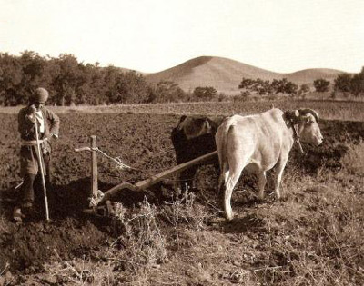 کشاورزی قبل و بعد از انقلاب