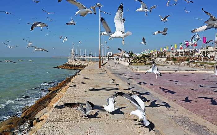 چرا بوشهر را دوست دارم؟