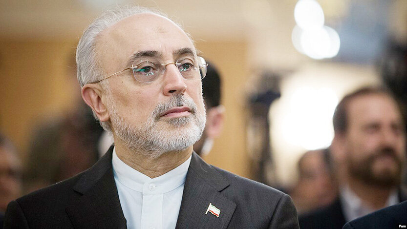 صالحی، وزیر اسبق خارجه: به زور احمدی نژاد را به عربستان بردم! شاه سعودی گفت چرا این قدر در تلویزیون و رسانه هایتان به من فحش می دهید؟