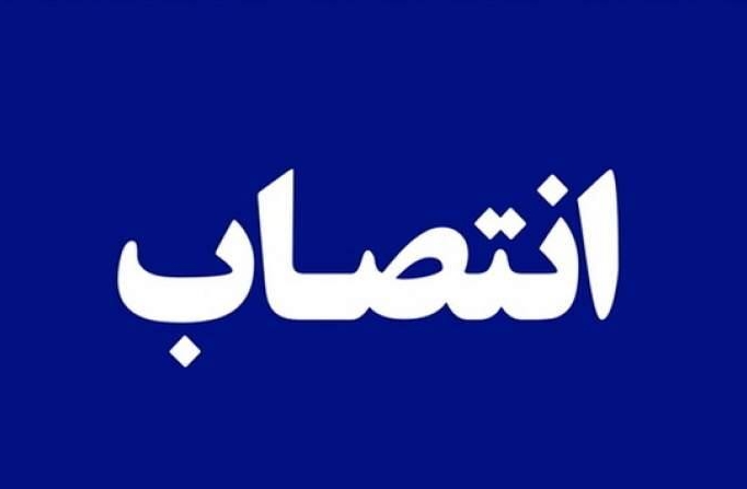 داماد چگنی مدیرعامل منطقه ویژه پتروشیمی شد