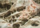 (تصاویر) کشف نقاشی‌های صخره‌ای باستانی شگفت انگیز در آمازون