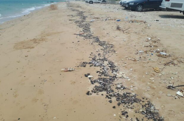 شناسایی منشا لکه‌های نفتی ساحل کنگان