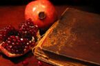 صحبتِ حُکام ظلمت شبِ یلداست نور زِ خورشید جوی/خواه بو‌ که برآید