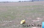 عیب هایش همه گفتم، هنرت نیز بگم