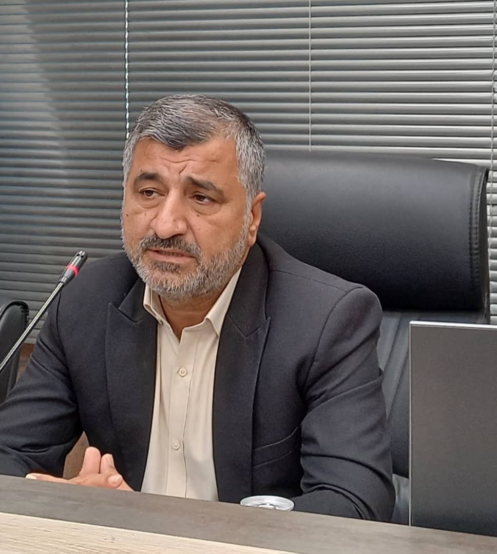 مجوز ترخیص خودرو در چهار گمرک استان بوشهر