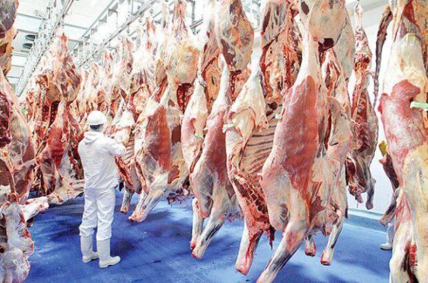 سقوط آزاد مصرف گوشت در کشور/ گوشت قسطی هم از در دسترس دهک‌های پایین خارج شد