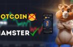 رویای پولدار شدن با یک همستر دیجیتال؛ همستر کامبت چیست؟