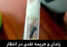 محکومیت بخاطر قاچاق مورچه