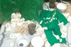 روضه سفره علی‌اصغر( ع )