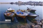 درآستانه صید میگو؛ طرح دریابست در استان بوشهر آغاز شد