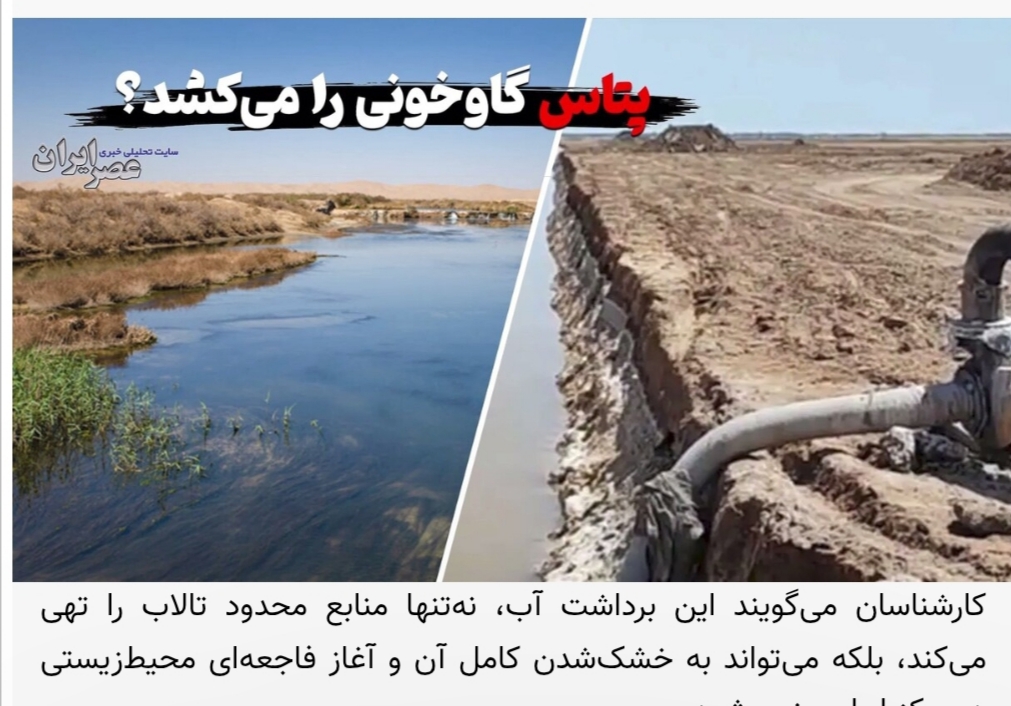 هشدار محیط زیست /پتاس گاوخونی را می‌کُشد ؟ گرفتن آخرین رمق‌های تالاب / تکرار بلایی که بر سر دریاچه ارومیه آوردند